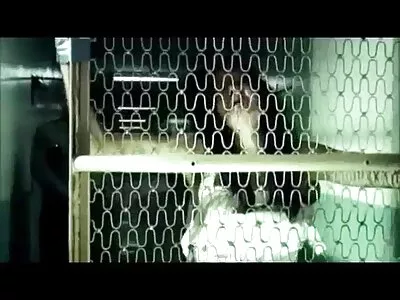 POV ਵਿੱਚ ਚੁਦਾਈ ਹੋਈ ਬਿਕਨੀ ਵਿੱਚ ਬੁਸਟੀ ਬਰੂਨੇਟ